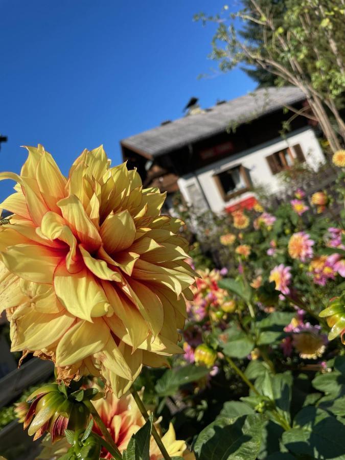 Chalet Franzi - Das Family-Ferienhaus Mit Gratiseintritt Ins Solarbad Dorfgastein Eksteriør bilde