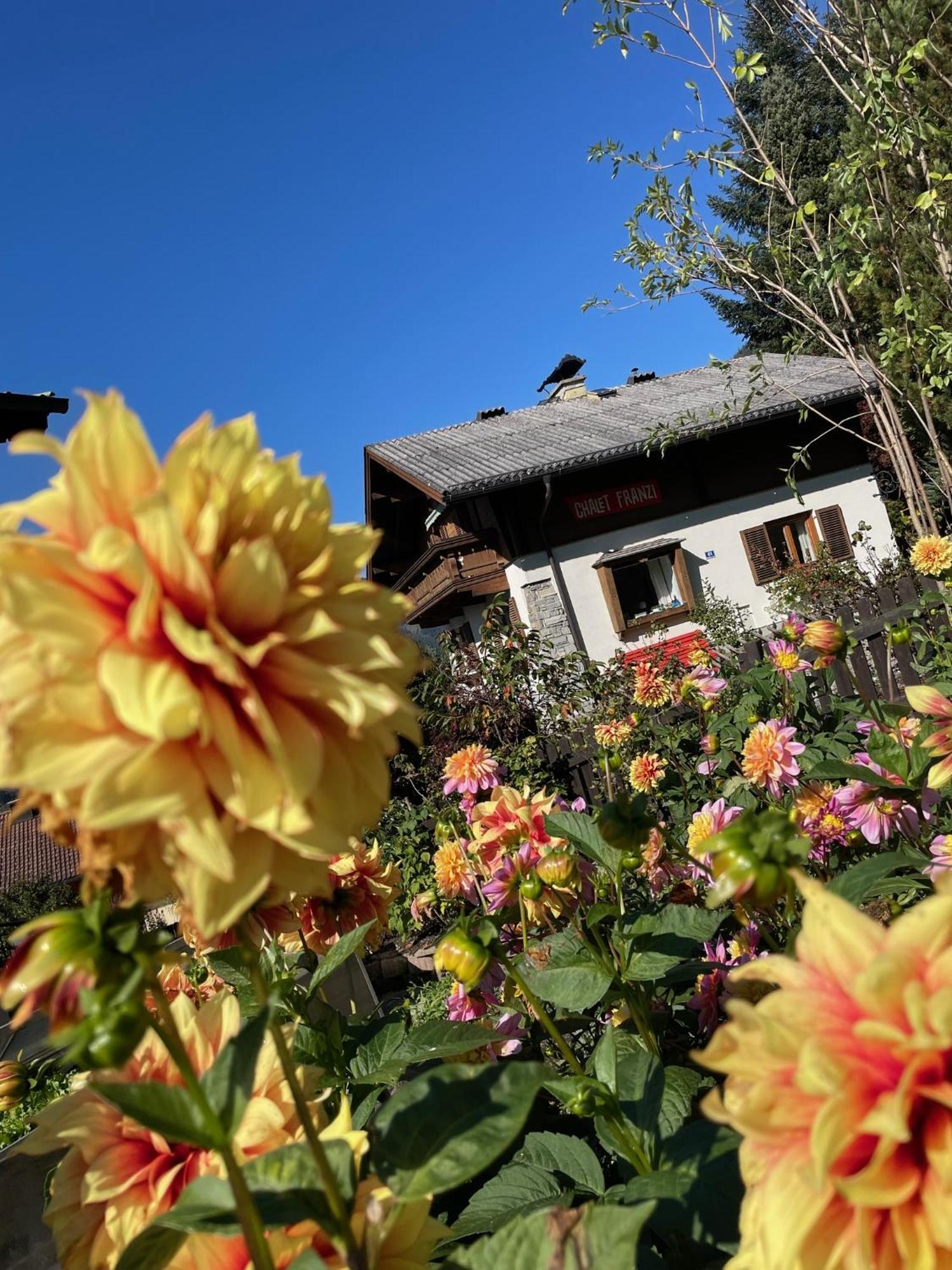 Chalet Franzi - Das Family-Ferienhaus Mit Gratiseintritt Ins Solarbad Dorfgastein Eksteriør bilde